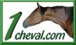 Tout le monde du cheval