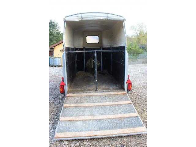 concessionnaire van chevaux westfalia